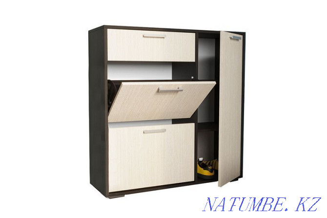 Cabinet for shoes 3D 1Ya, modular system Delhi, Wenge, Stand furniture Aqtobe - photo 1