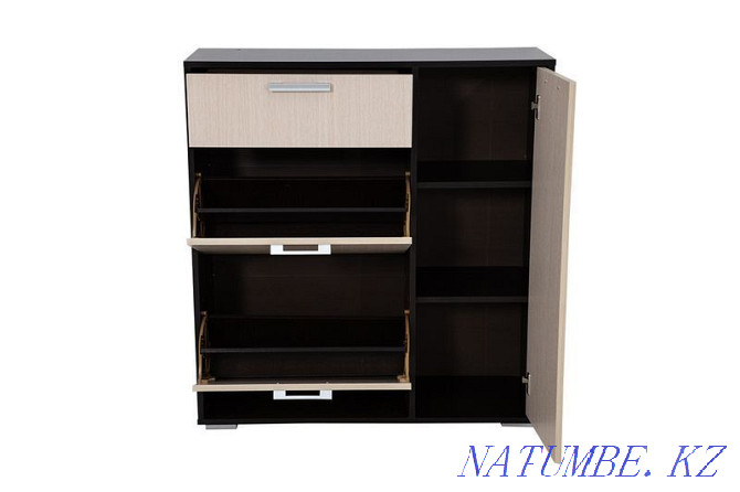 Cabinet for shoes 3D 1Ya, modular system Delhi, Wenge, Stand furniture Aqtobe - photo 4