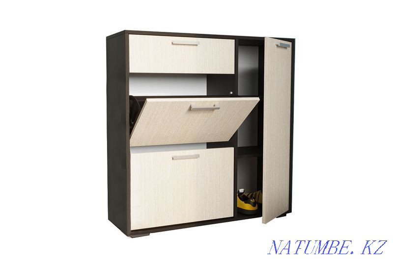 Cabinet for shoes 3D 1Ya, modular system Delhi, Wenge, Stand furniture Aqtobe - photo 1