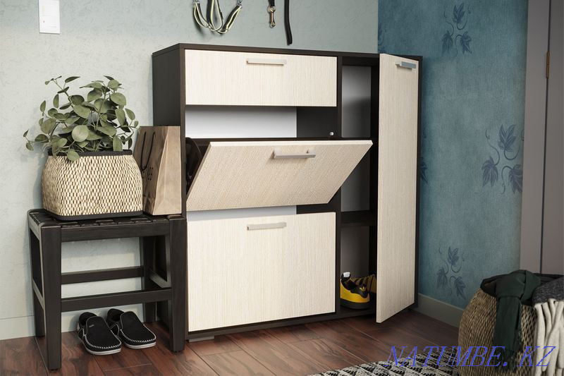 Cabinet for shoes 3D 1Ya, modular system Delhi, Wenge, Stand furniture Aqtobe - photo 2