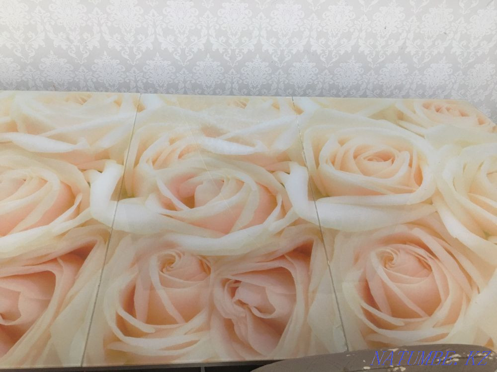 Продам стол стулья Астана - изображение 1