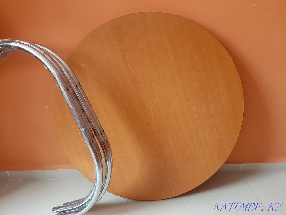 Круглый стол Большой чаган - изображение 2