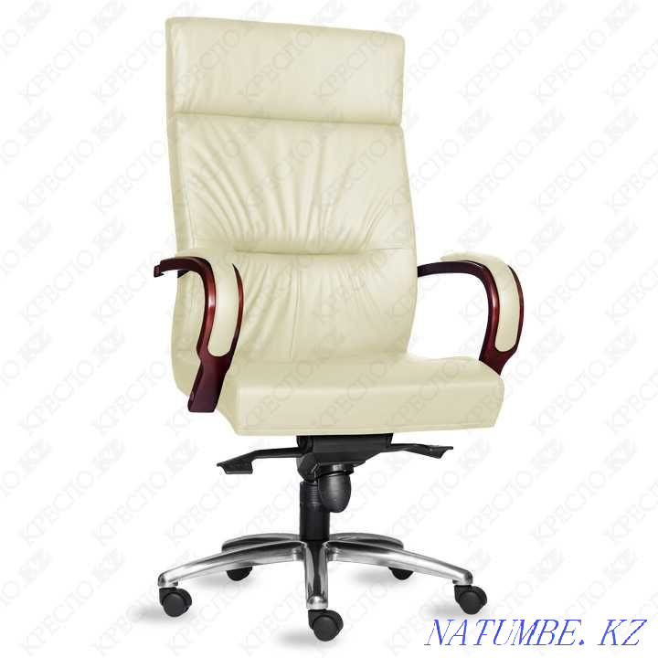 Chairs office for the head skin, kozhzam. Installment or credit. Almaty - photo 4