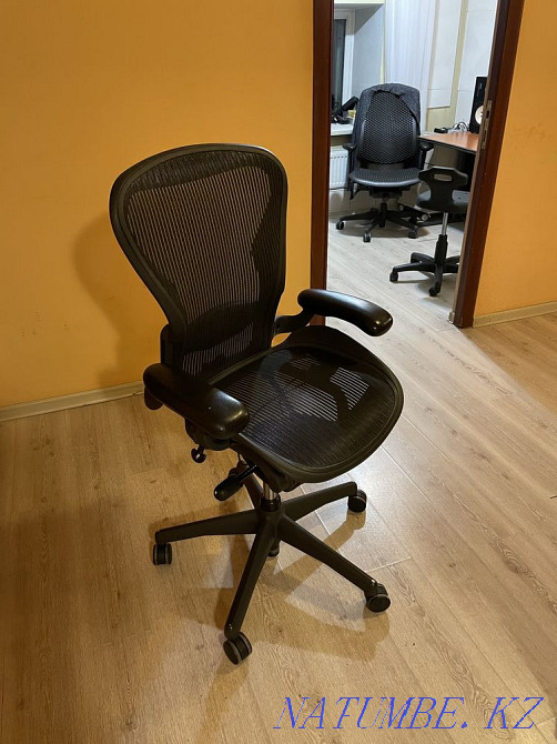 Herman Miller Aeron Almaty - photo 1