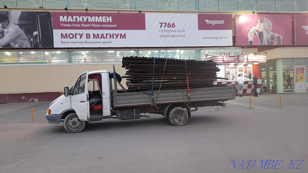 Gazelle open side. Astana - photo 6