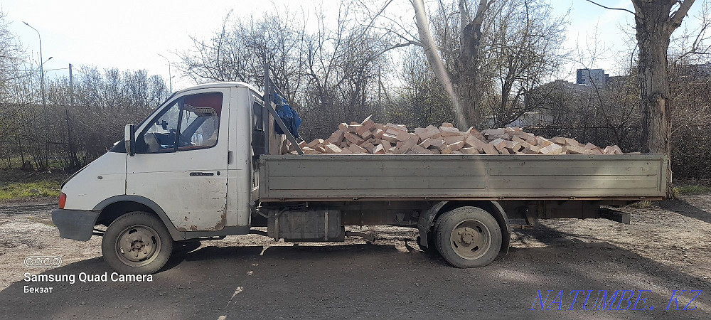 Gazelle open side. Astana - photo 5