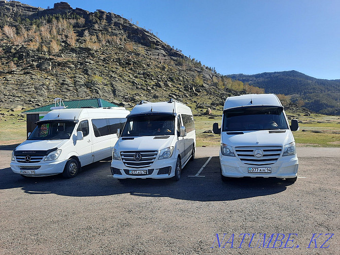 Passenger Transportation Pavlodar - photo 6