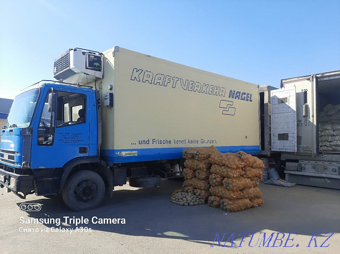 Cargo transportation 5 tons Shymkent - photo 2