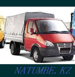 Қаладағы Атырау қарақұсы. Ұзындығы 4,20 м Биіктігі 2 м. Ені 2м  Атырау - изображение 1