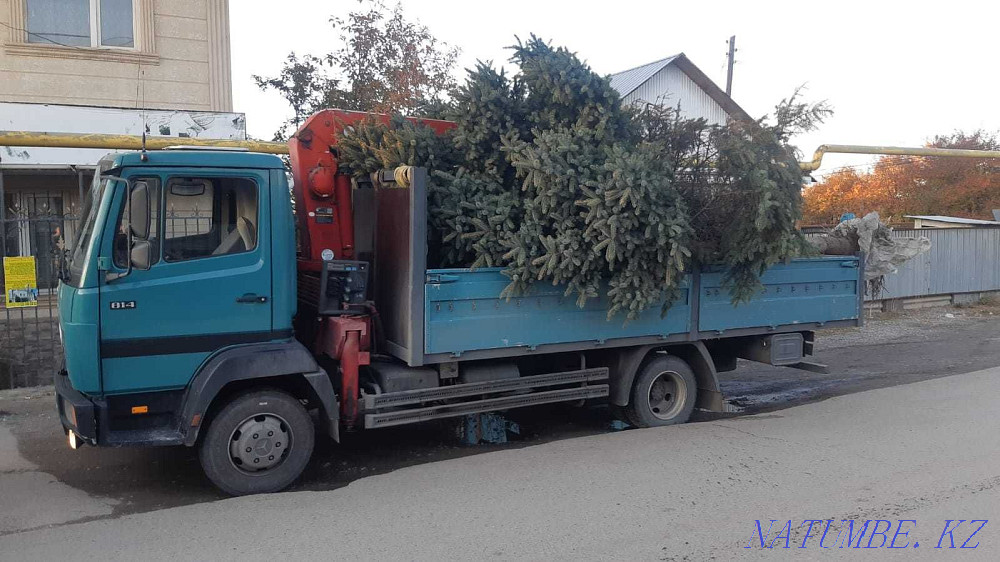 Алматыдағы манипулятор. Манипуляторы бар эвакуатор қызметтері Біз әрқашан осындамыз  Алматы - изображение 7
