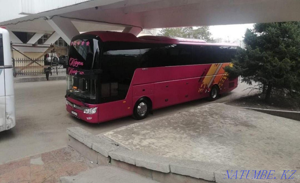 Bus rental Passenger transportation Almaty - photo 4