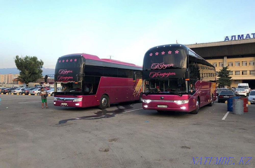 Bus rental Passenger transportation Almaty - photo 1