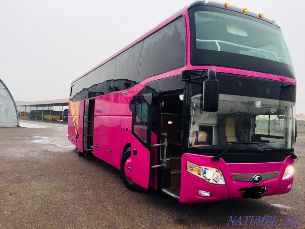 Bus rental. Passenger transportation. Almaty - photo 4