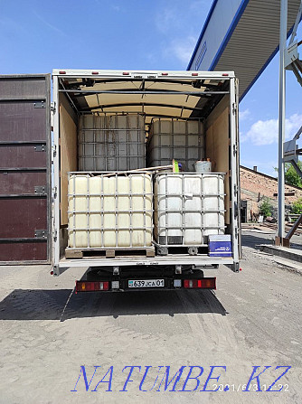 Cargo transportation Gazelle 6.2 m intercity in Kazakhstan, Russia and Belarus Karagandy - photo 3
