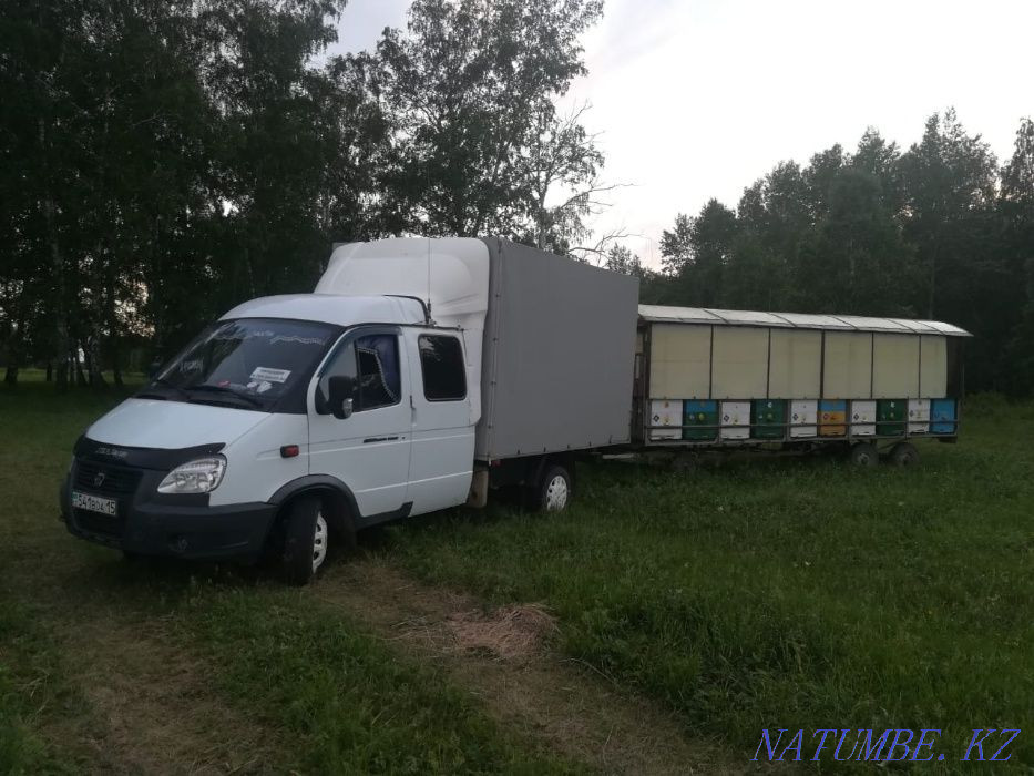 Газели.Грузоперевозки по Казахстану и России Петропавловск - изображение 4