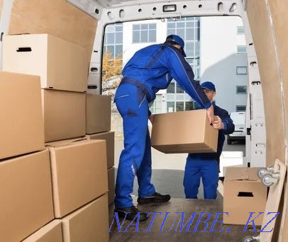 Loaders, gazelle Taraz - photo 1