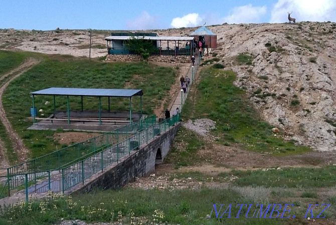 такси по святым местам в Туркестане Туркестан - изображение 2