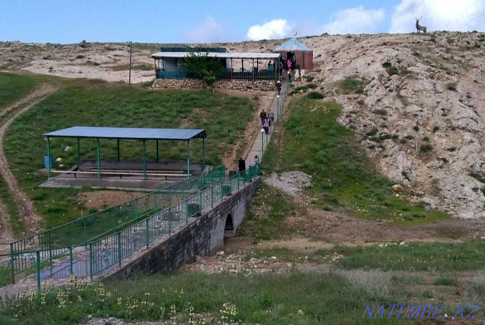taxi to holy places in Turkestan Turkestan - photo 2