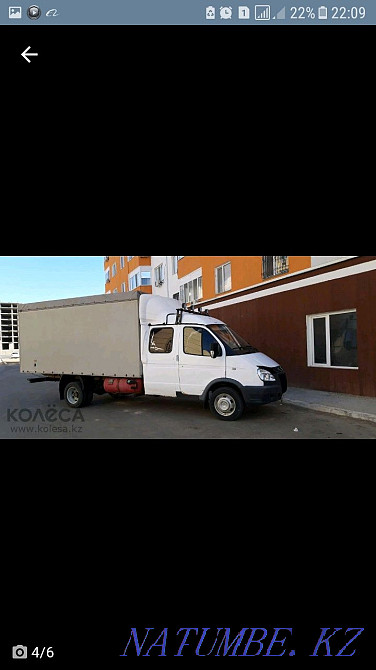 Gazelle in the city from 4000tng Atyrau - photo 1