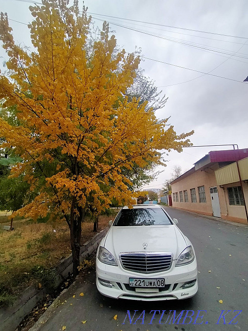 Car rental with driver. Талас - photo 2