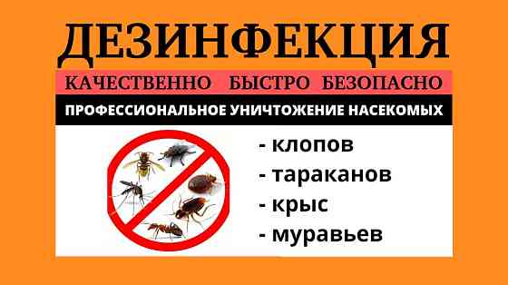 Уничтожение крыс,клопов,тараканов,муравьев,мышей,клещей,комаров,блох! Karagandy