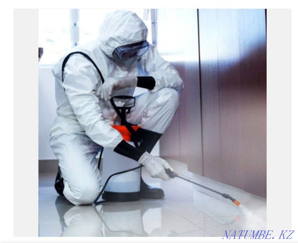 Room disinfection им. Жанкожа батыра - photo 1