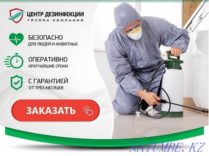 Дезинфекция от насекомых Астана - изображение 3