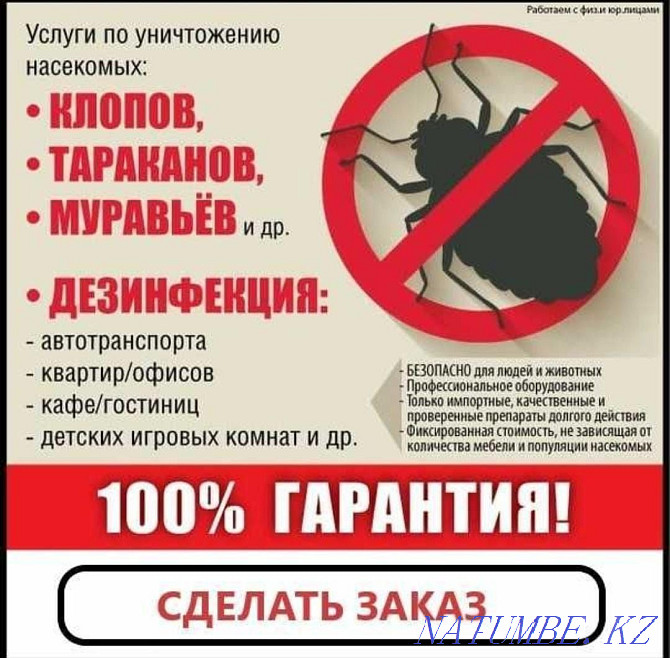 Дезинфекция от насекомых Астана - изображение 2