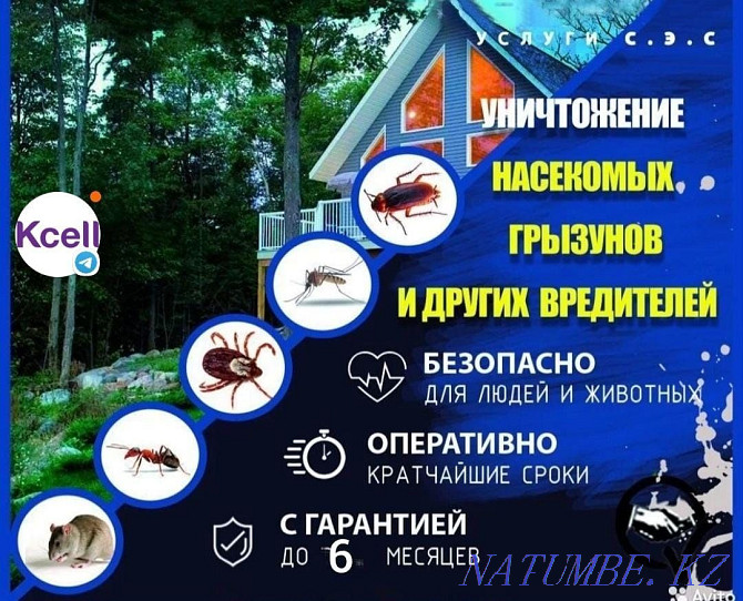 Дезинфекция от насекомых Астана - изображение 1
