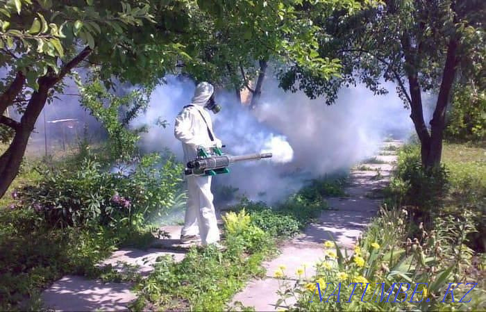 Disinfection disinsection deratization Kyzylorda - photo 1
