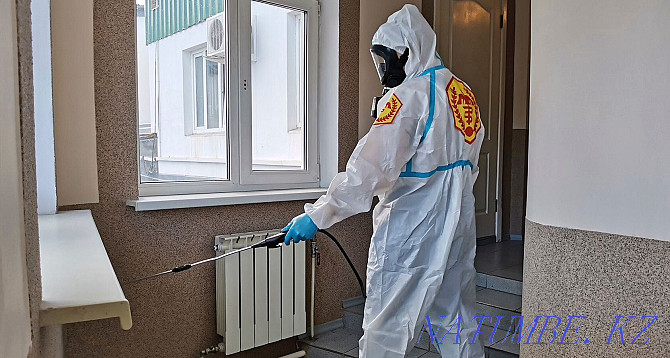 Room disinfection Petropavlovsk - photo 6