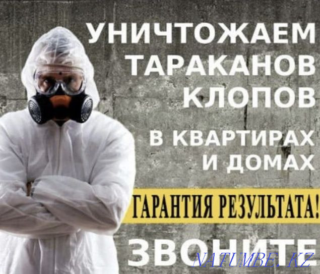 Disinfection Taraz Taraz - photo 1