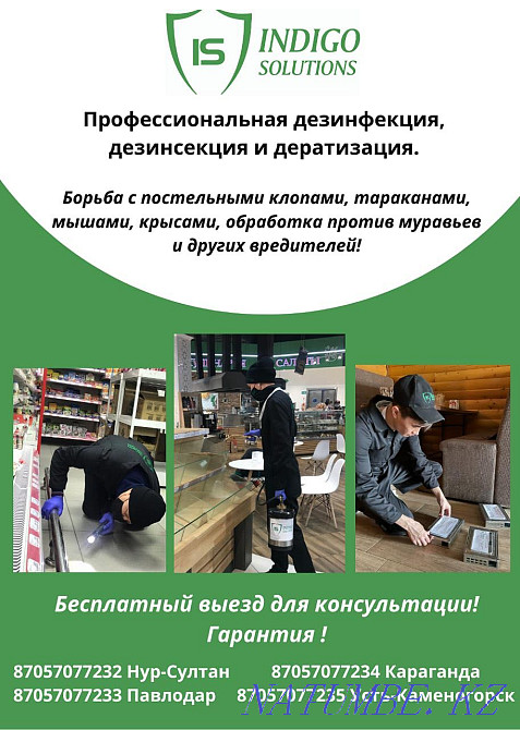Дезинфекция, Дезинсекция и Дератизация Павлодар - изображение 1