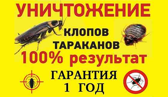 ДЕЗИНФЕКЦИЯ ВИРУСОВ, уничтожение мух,клопов,тараканов,муравьев,крыс! Karagandy