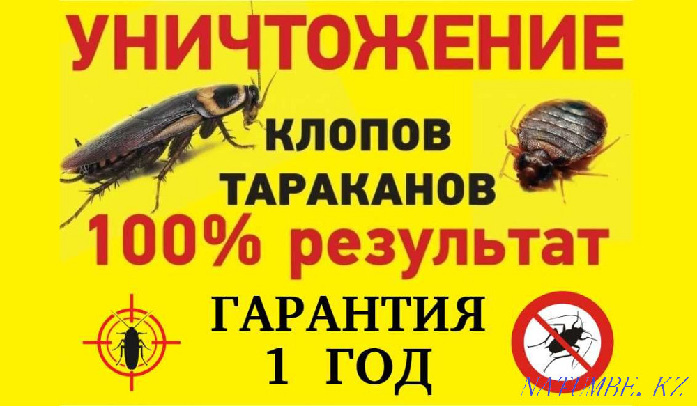 DISINFECTION OF VIRUSES, extermination of flies, bedbugs, cockroaches, ants, rats! Karagandy - photo 1