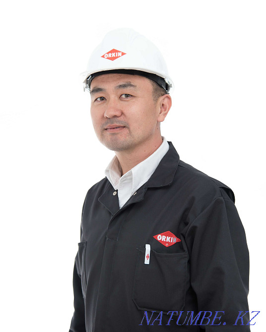 Integrated pest control. Disinfection. Disinsection. Deratization. Almaty - photo 2