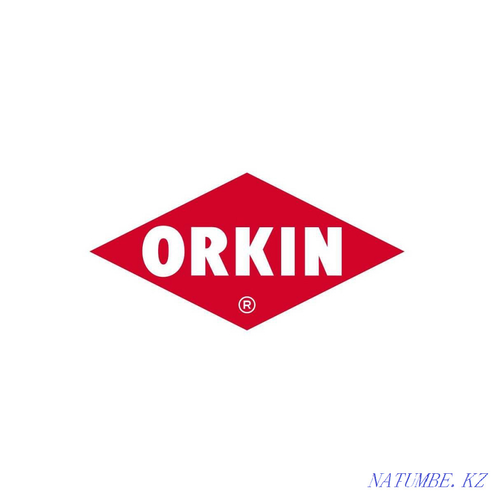 Integrated pest control. Disinfection. Disinsection. Deratization. Almaty - photo 5