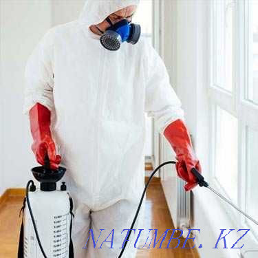 Дезинфекция СКИДКИ избавим от клопов тараканов крыс и мышей ГАРАНТИЯ Шымкент - изображение 2