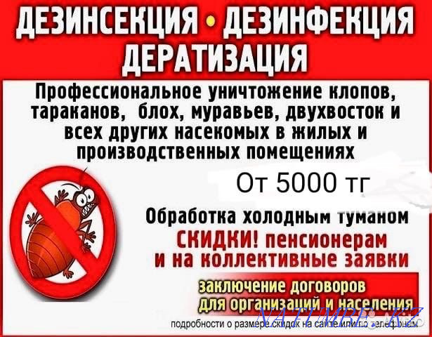 Надежная дезинфекция от 5000 Кокшетау - изображение 1
