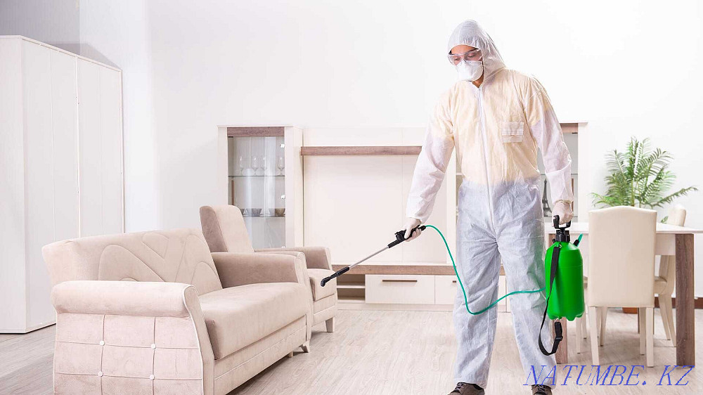 Дезинфекция клопов, Уничтожение насекомых г. Жезказган Жезказган - изображение 2