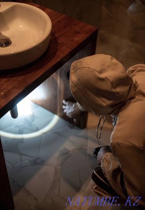 Дезинфекция Тараз - изображение 4