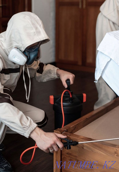 Дезинфекция Тараз - изображение 2