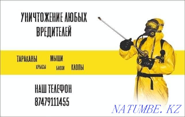 Disinfection, Destruction of all types of Insects and Rodents. Under Guarantee Pavlodar - photo 1
