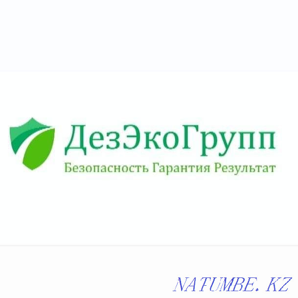 Дезинфекция, жәндіктер мен кеміргіштердің барлық түрлерін жою. Кепілдікпен  Павлодар  - изображение 3