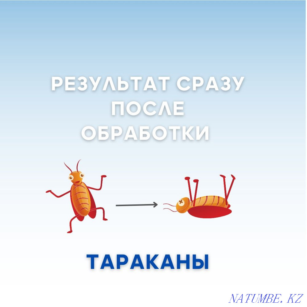 Кепілдікпен залалсыздандыру Алматы  Алматы - изображение 4