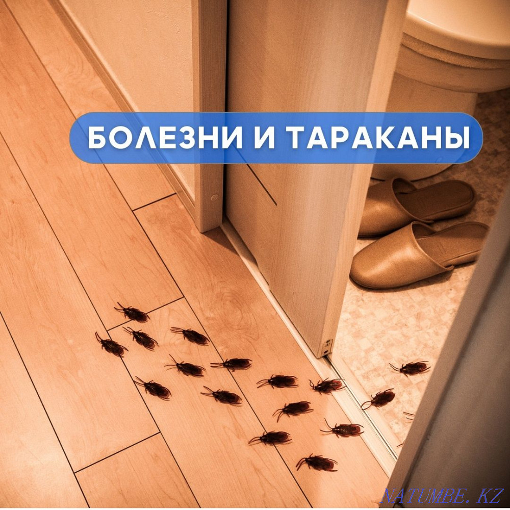 Кепілдікпен залалсыздандыру Алматы  Алматы - изображение 3