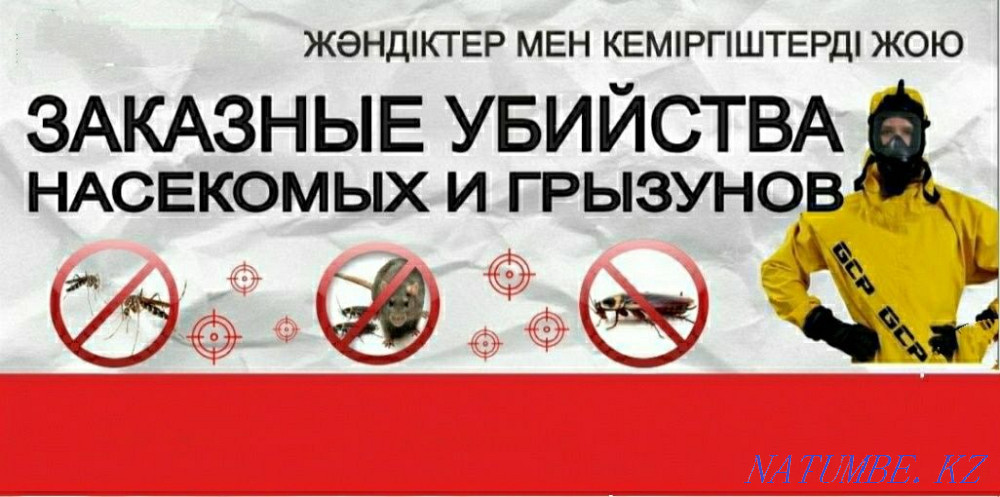 Disinfection Services Taraz - photo 1