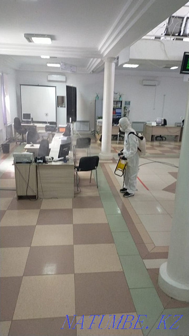 Disinfection Disinsection Deratization 24/7 Atyrau - photo 3