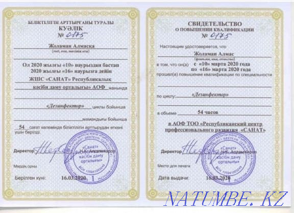 Disinfection Disinsection Deratization 24/7 Atyrau - photo 5