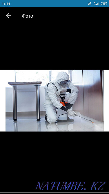 Disinfection Disinsection Deratization 24/7 Atyrau - photo 4